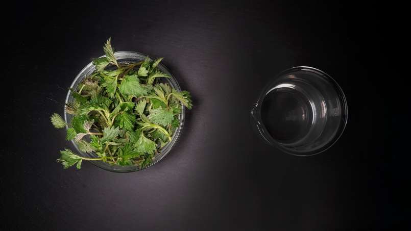 Nettó csalán tinktúra